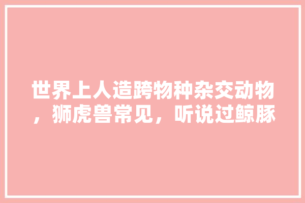 世界上人造跨物种杂交动物，狮虎兽常见，听说过鲸豚吗？你怎么看,人工智能怪兽 绘影字幕