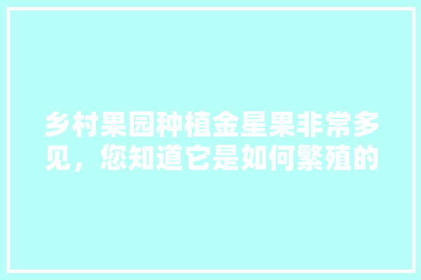 乡村果园种植金星果非常多见，您知道它是如何繁殖的吗,金星人工智能是干嘛的