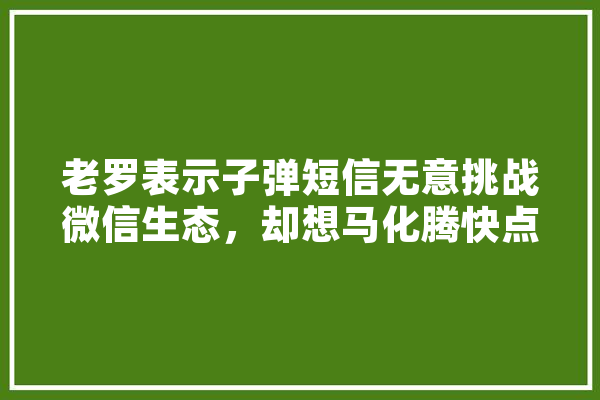 老罗表示子弹短信无意挑战微信生态，却想马化腾快点抄袭过去，用意何在,人工智能 段子