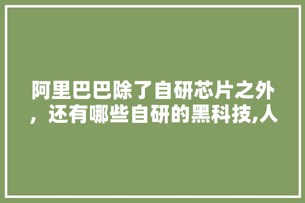 阿里巴巴除了自研芯片之外，还有哪些自研的黑科技,人工智能etf