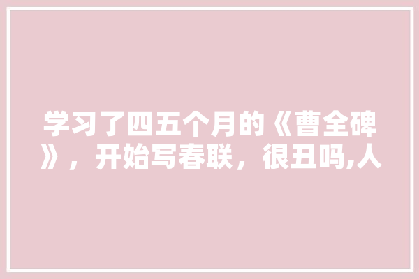 学习了四五个月的《曹全碑》，开始写春联，很丑吗,人工智能春联介绍150字