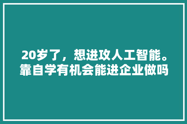 20岁了，想进攻人工智能。靠自学有机会能进企业做吗,人工智能hi 智能问答