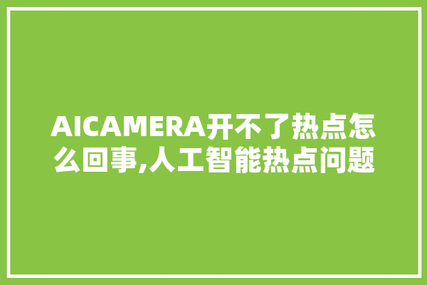 AICAMERA开不了热点怎么回事,人工智能热点问题