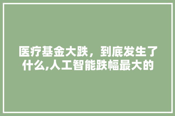 医疗基金大跌，到底发生了什么,人工智能跌幅最大的股票