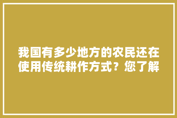 我国有多少地方的农民还在使用传统耕作方式？您了解传统农耕吗,人工智能农耕发展现状