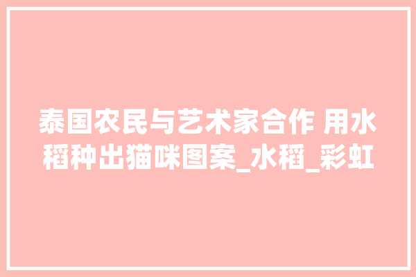 泰国农民与艺术家合作 用水稻种出猫咪图案_水稻_彩虹 文字写作