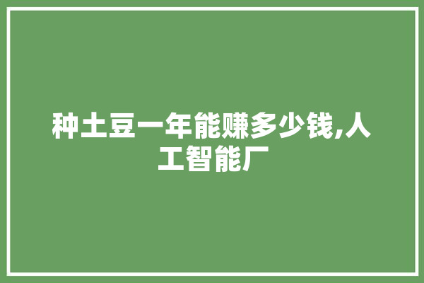 种土豆一年能赚多少钱,人工智能厂