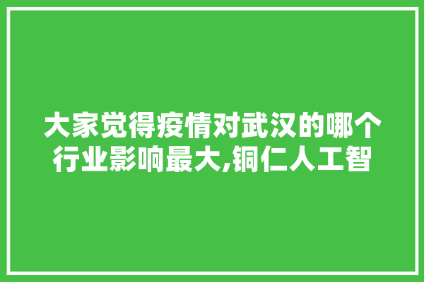 大家觉得疫情对武汉的哪个行业影响最大,铜仁人工智能培训机构