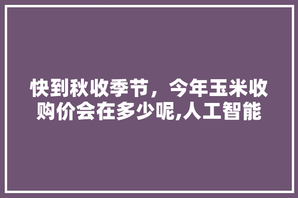 快到秋收季节，今年玉米收购价会在多少呢,人工智能小希攻略大全
