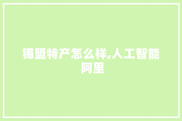 锡盟特产怎么样,人工智能 阿里 计算机