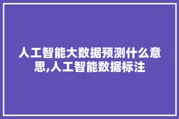 人工智能大数据预测什么意思,人工智能数据标注 智能助手