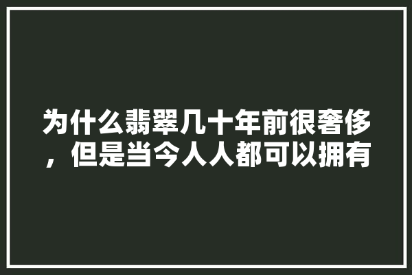 为什么翡翠几十年前很奢侈，但是当今人人都可以拥有呢,奥拓人工智能怎么样
