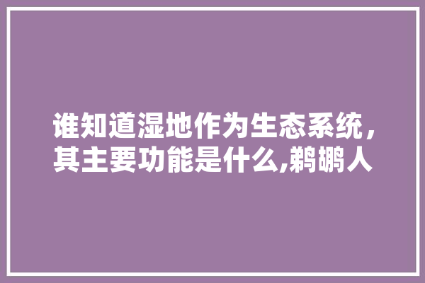 谁知道湿地作为生态系统，其主要功能是什么,鹈鹕人工智能科技有限公司
