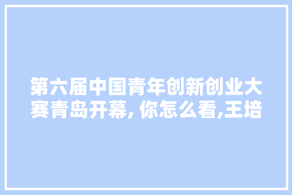 第六届中国青年创新创业大赛青岛开幕, 你怎么看,王培人工智能
