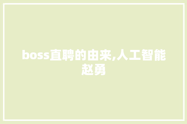 boss直聘的由来,人工智能赵勇 云服务