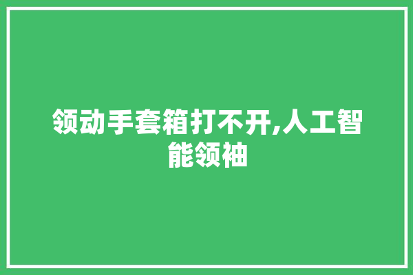 领动手套箱打不开,人工智能领袖