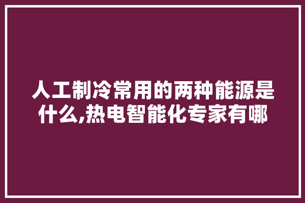 人工制冷常用的两种能源是什么,热电智能化专家有哪些