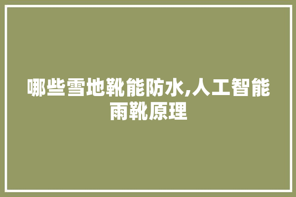 哪些雪地靴能防水,人工智能雨靴原理