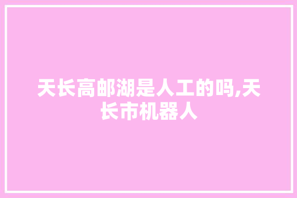 天长高邮湖是人工的吗,天长市机器人