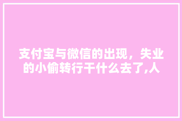 支付宝与微信的出现，失业的小偷转行干什么去了,人工智能偷懒 智能问答
