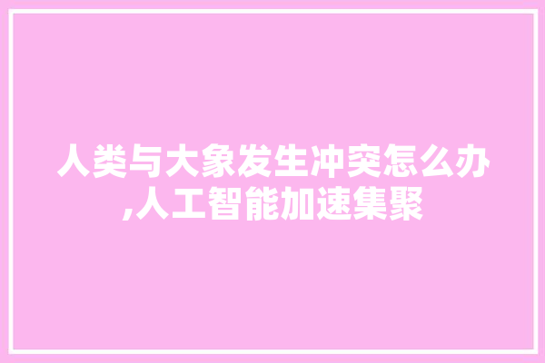 人类与大象发生冲突怎么办,人工智能加速集聚