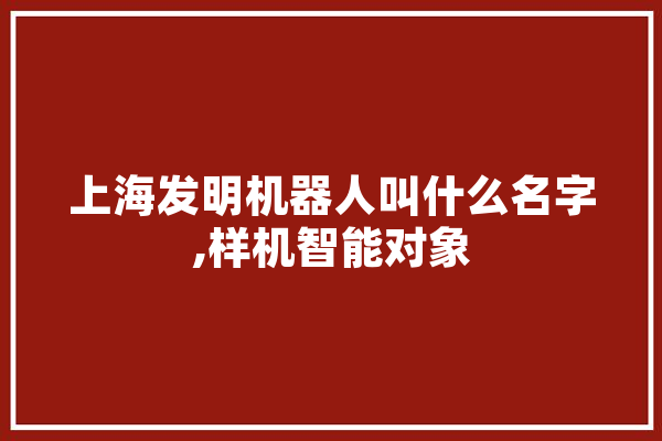 上海发明机器人叫什么名字,样机智能对象