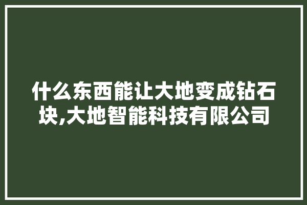 什么东西能让大地变成钻石块,大地智能科技有限公司