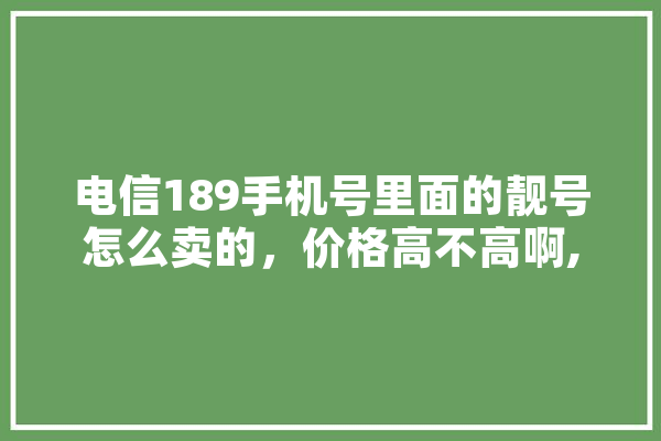 电信189手机号里面的靓号怎么卖的，价格高不高啊,人工智能电话号码