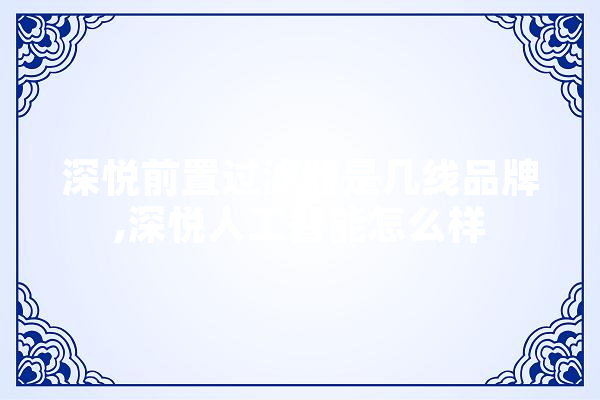 深悦前置过滤器是几线品牌,深悦人工智能怎么样