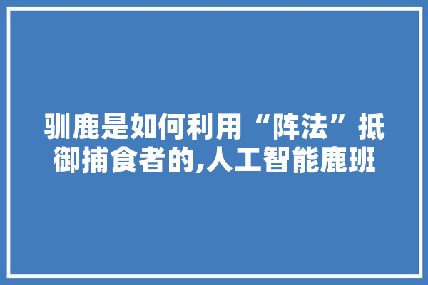 驯鹿是如何利用“阵法”抵御捕食者的,人工智能鹿班