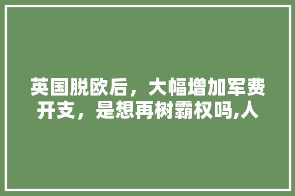 英国脱欧后，大幅增加军费开支，是想再树霸权吗,人工智能顶会