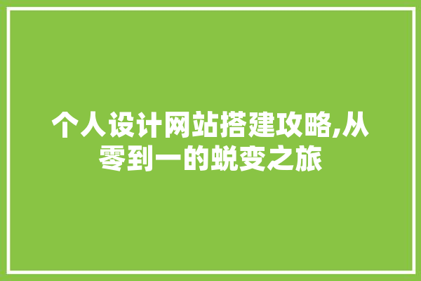 个人设计网站搭建攻略,从零到一的蜕变之旅 AI简讯