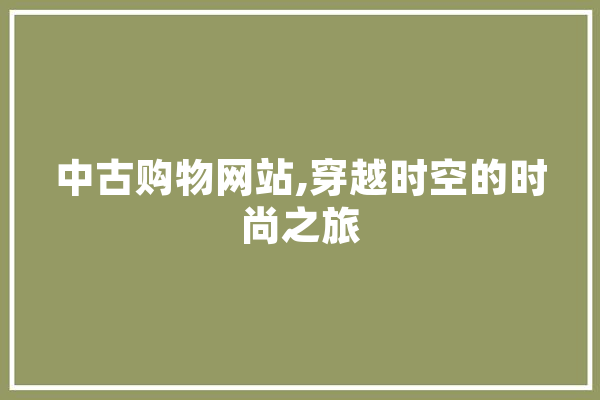 中古购物网站,穿越时空的时尚之旅