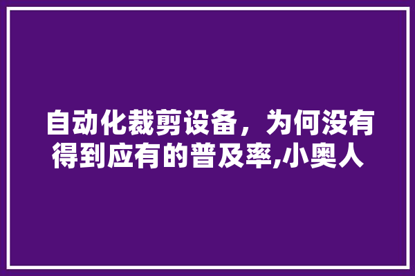 自动化裁剪设备，为何没有得到应有的普及率,小奥人工智能官网 AI快讯