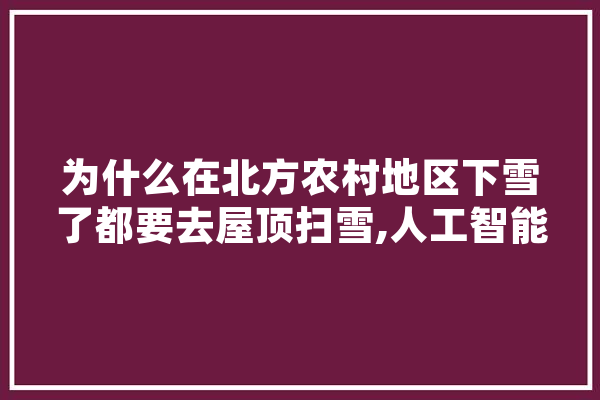 为什么在北方农村地区下雪了都要去屋顶扫雪,人工智能扫描