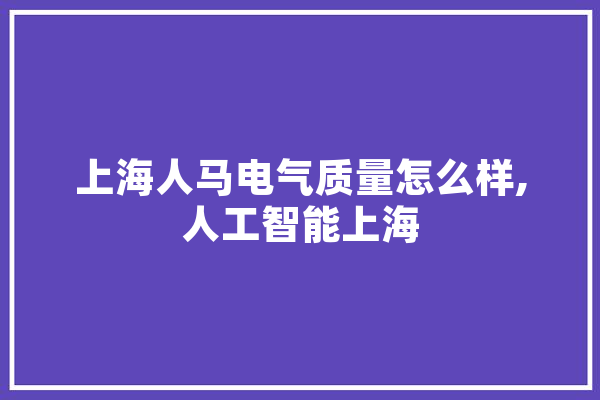 上海人马电气质量怎么样,人工智能上海