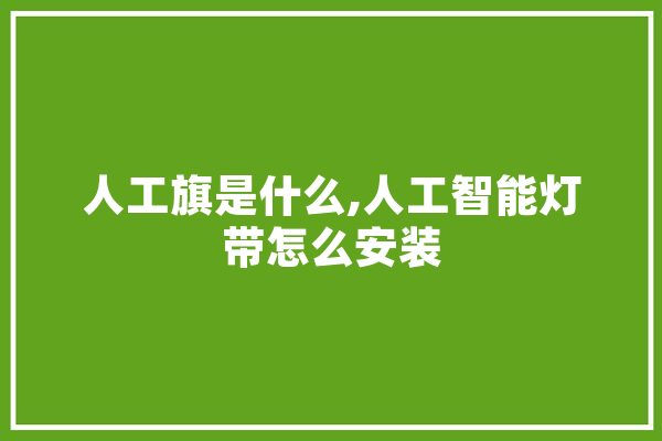 人工旗是什么,人工智能灯带怎么安装