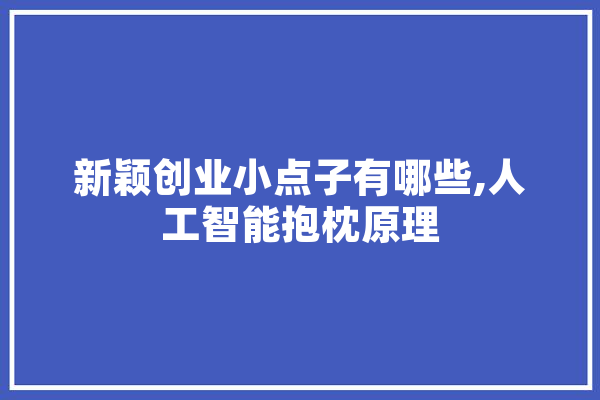 新颖创业小点子有哪些,人工智能抱枕原理 智能问答