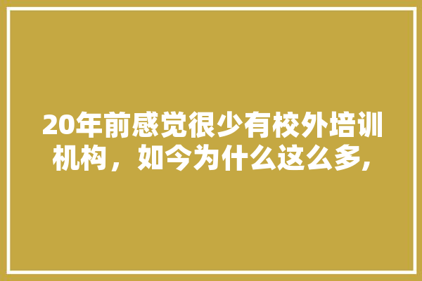 20年前感觉很少有校外培训机构，如今为什么这么多,义乌人工智能平台