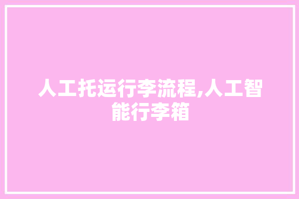 人工托运行李流程,人工智能行李箱 云服务