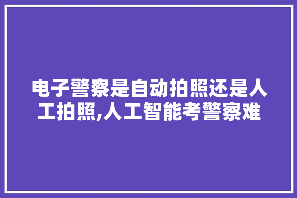 电子警察是自动拍照还是人工拍照,人工智能考警察难吗 绘影字幕