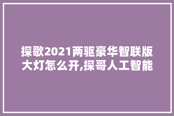 探歌2021两驱豪华智联版大灯怎么开,探哥人工智能怎么样