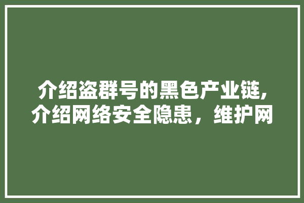 介绍盗群号的黑色产业链,介绍网络安全隐患，维护网络安全 智能写作