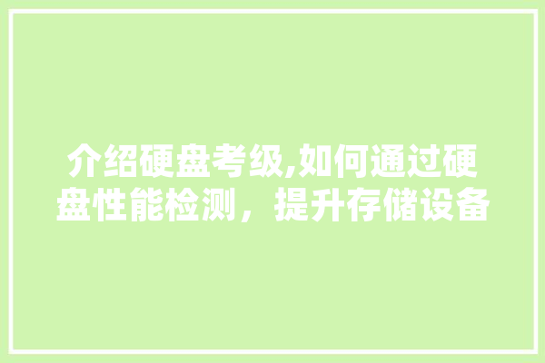 介绍硬盘考级,如何通过硬盘性能检测，提升存储设备品质