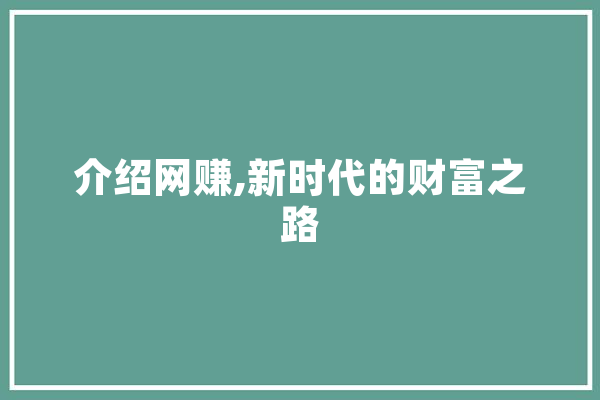介绍网赚,新时代的财富之路