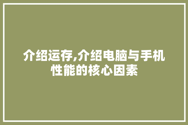 介绍运存,介绍电脑与手机性能的核心因素