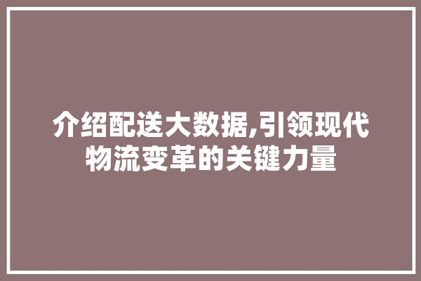 介绍配送大数据,引领现代物流变革的关键力量 云服务