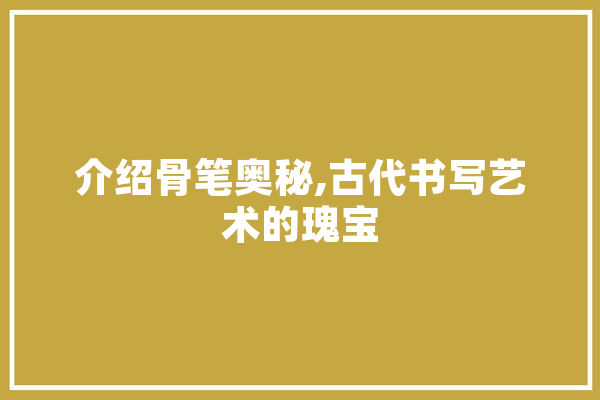 介绍骨笔奥秘,古代书写艺术的瑰宝