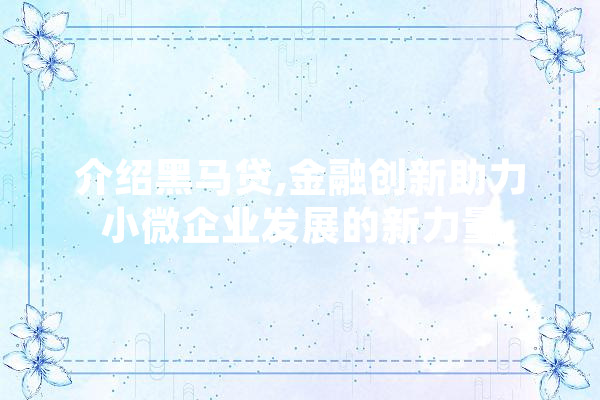 介绍黑马贷,金融创新助力小微企业发展的新力量