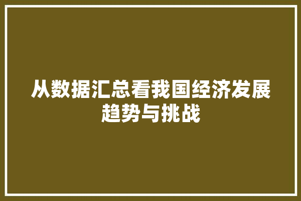 从数据汇总看我国经济发展趋势与挑战